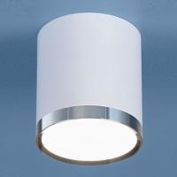 Накладной светильник Elektrostandard DLR024 a039017. Фото №1