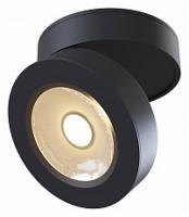 Накладной светильник Maytoni Magic C022CL-L12B. Фото №1