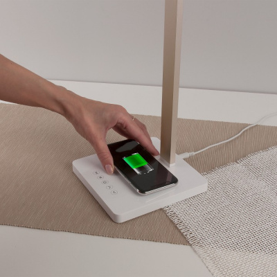 Настольная лампа офисная Elektrostandard TL90510 a039562. Фото №2