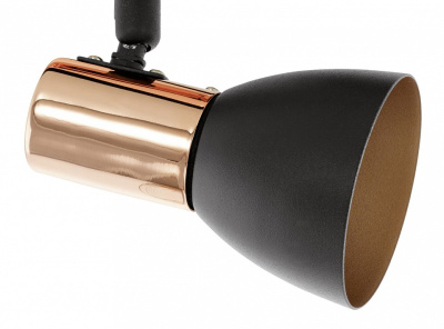 Спот Eglo Barnham 94585. Фото