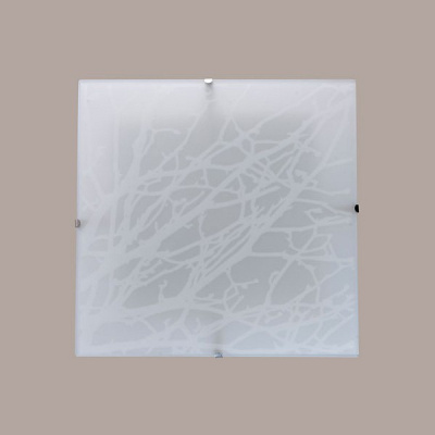 Накладной светильник MW-Light Васто 368011501. Фото