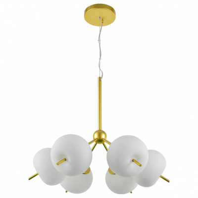 Подвесная люстра Favourite Bacca 2643-6P. Фото №2