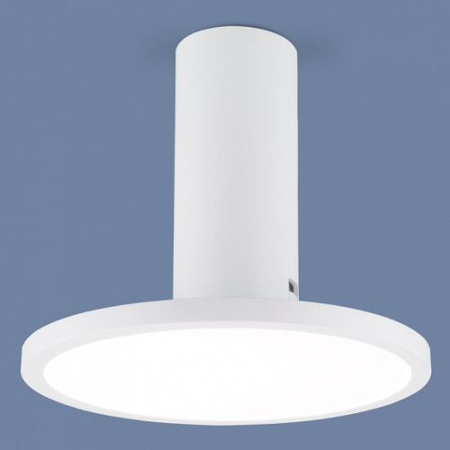 Накладной светильник Elektrostandard DLS029 a047771. Фото №1