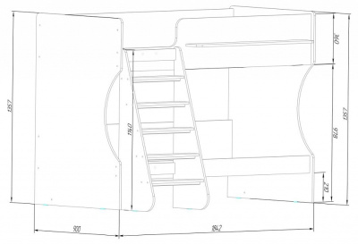 Кровать двухъярусная Р438 Капризун 3, древесина коричневая светлая дуб фото Кровать двухъярусная Р438 Капризун 3, древесина коричневая светлая дуб. Фото №5