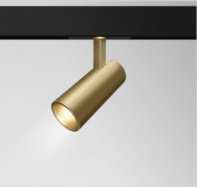 Светильник на штанге Maytoni Technical Track TR019-2-15W4K-MG. Фото