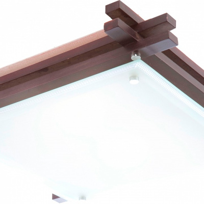 Накладной светильник Globo Edison 48324-2. Фото