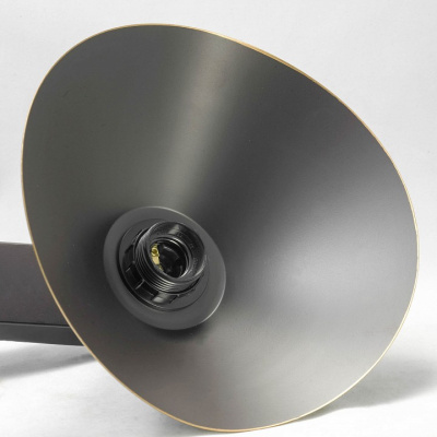 Потолочная люстра Lussole Opelika LSP-9535. Фото