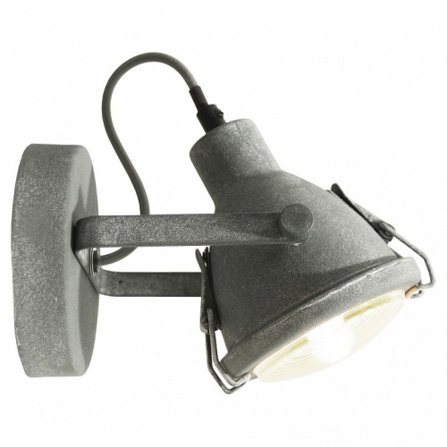 Спот Lussole Brentwood LSP-9883. Фото №1